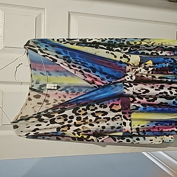 Exotic Animal Print. Beautiful Maxi dress mixed with cheetah print! - Picture 4 of 4